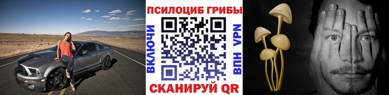 Купить  Фрязино  Псилоцибиновые грибы мухоморы 